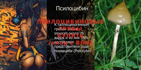 МДПВ Нефтегорск