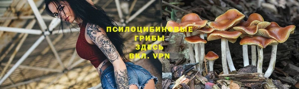 экстази Нея