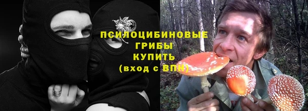 МДПВ Нефтегорск