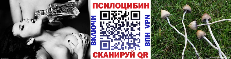 Галлюциногенные грибы Psilocybine cubensis  Купить  Заинск 